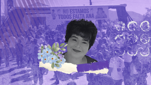 Femicidio Ana María Pizarro La Serena