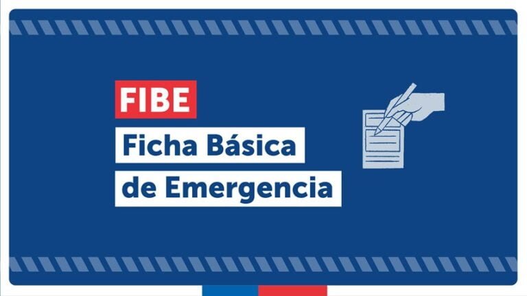 Información sobre la ficha FIBE