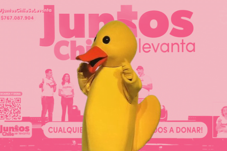 Pato de Banco Estado