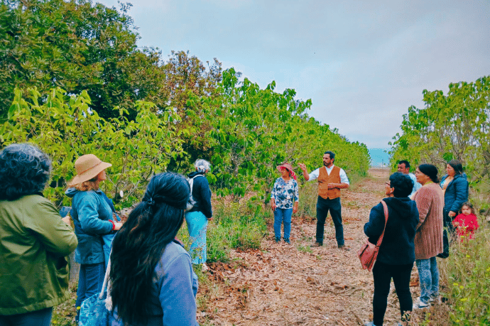 Usuarios y Usuarias Indap en taller de manejo de agricultura sostenible