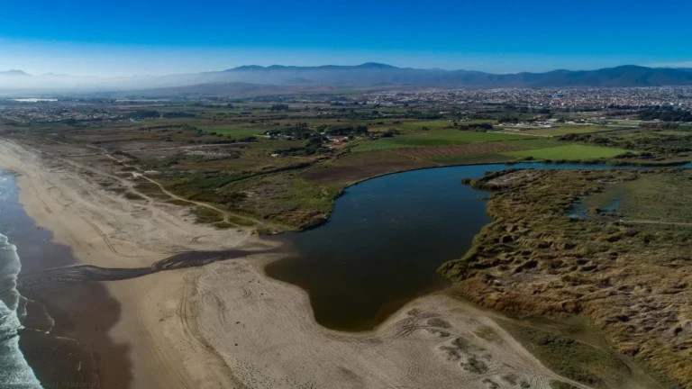 descarga de aguas servidas al humedal del río Elqui